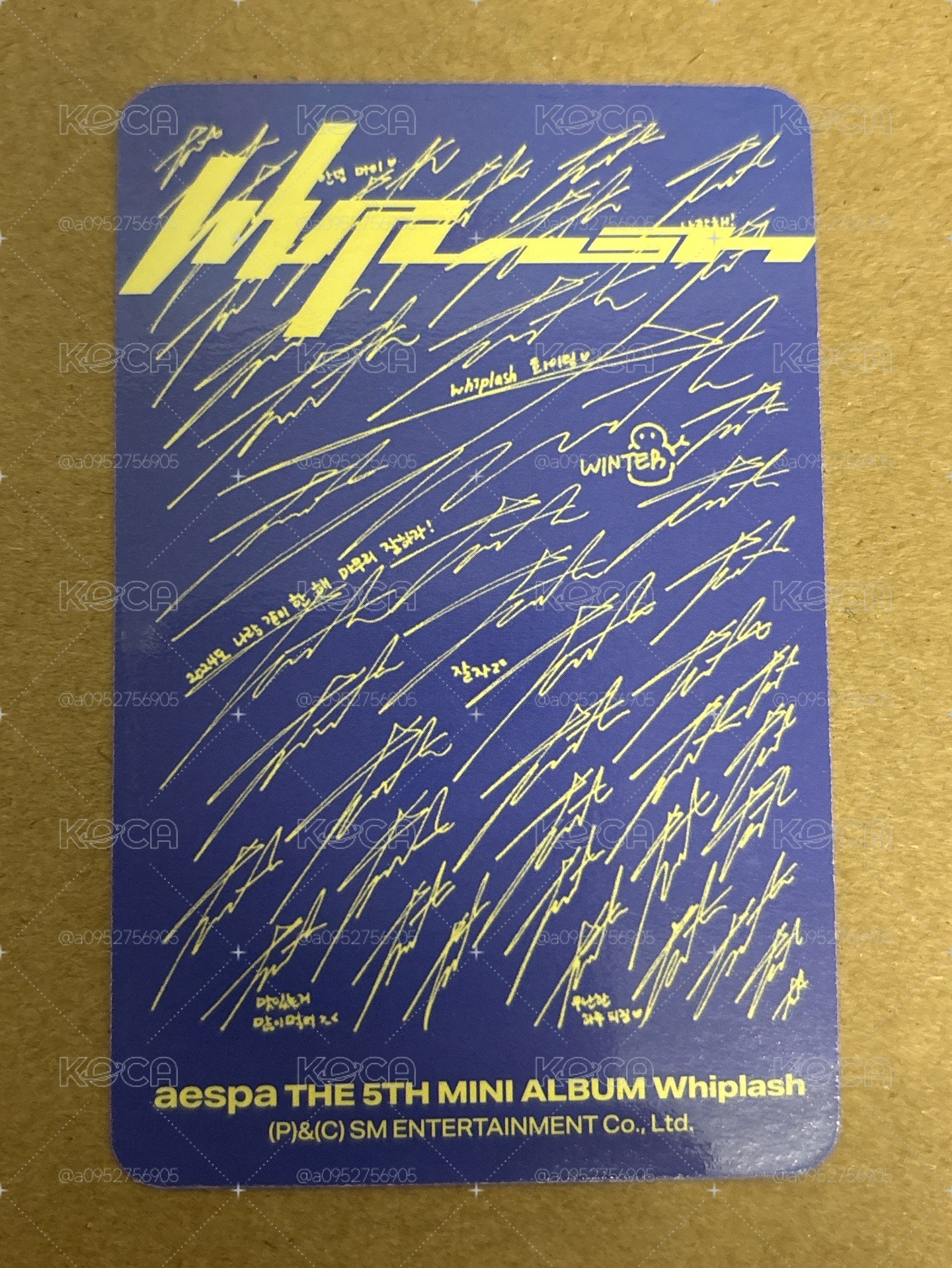 （瑕）Whiplash 專輯卡 Speed專卡 冬