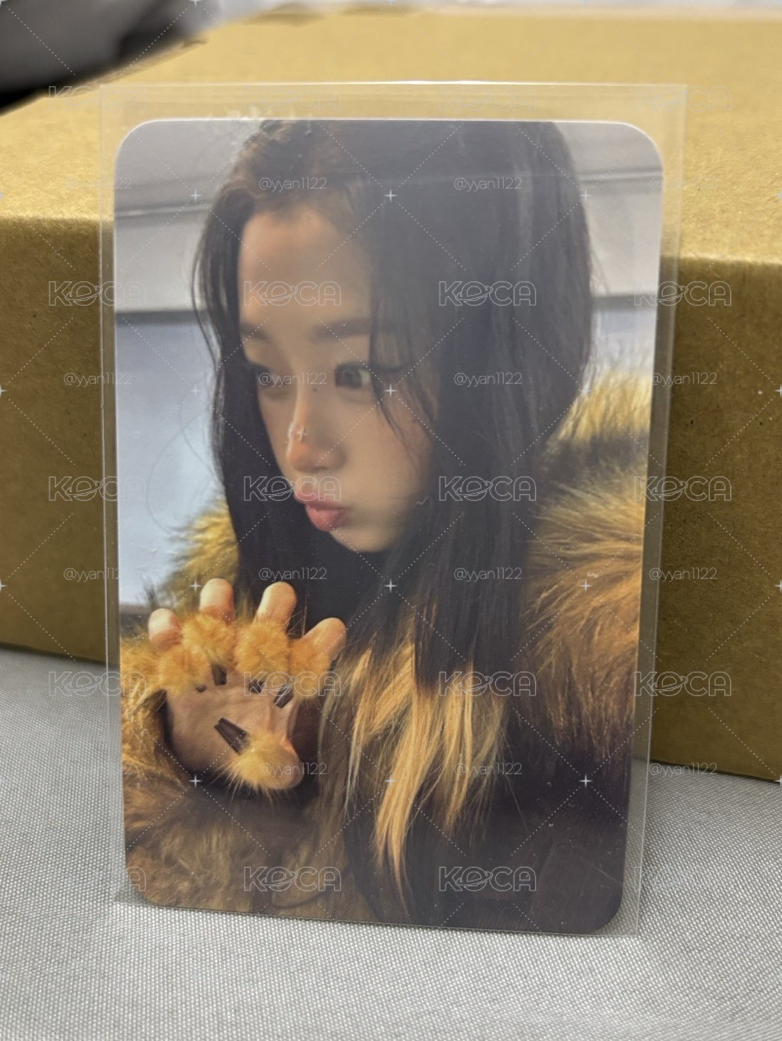 小博美吉