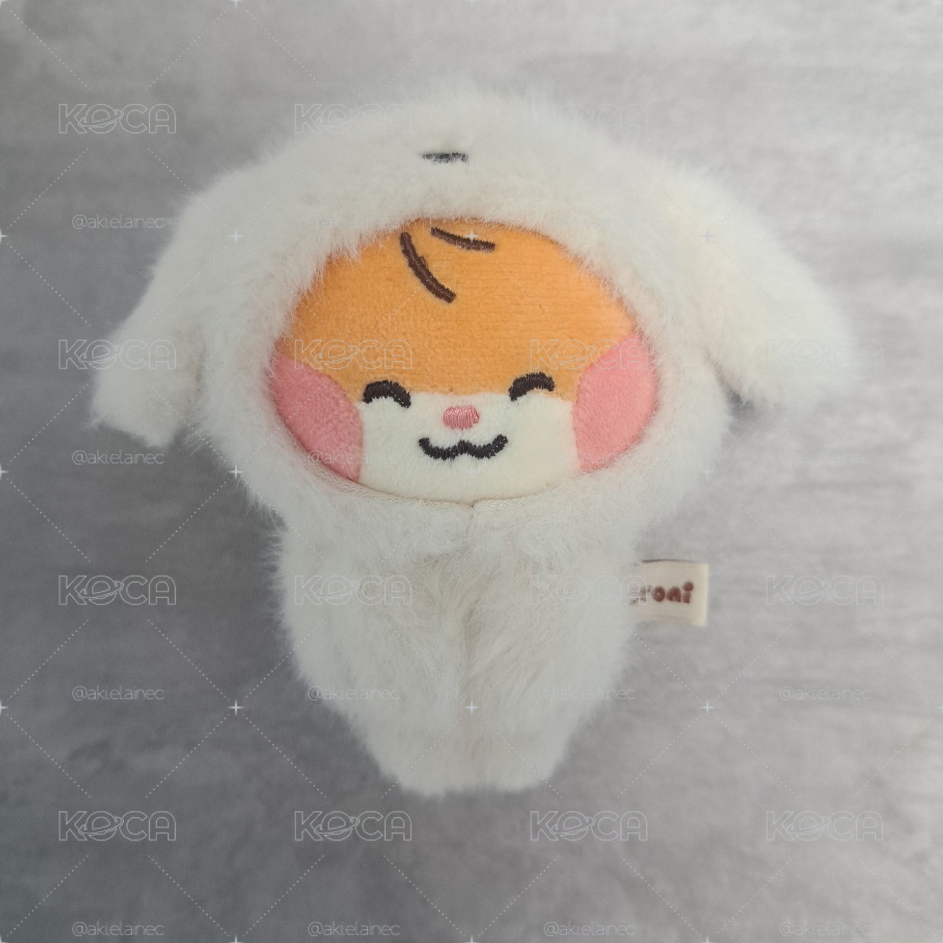 磁吸彬小盤