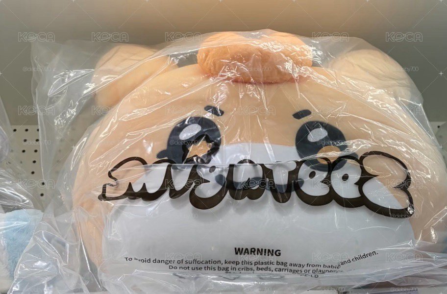 MIGHTEEZ 弘中抱枕