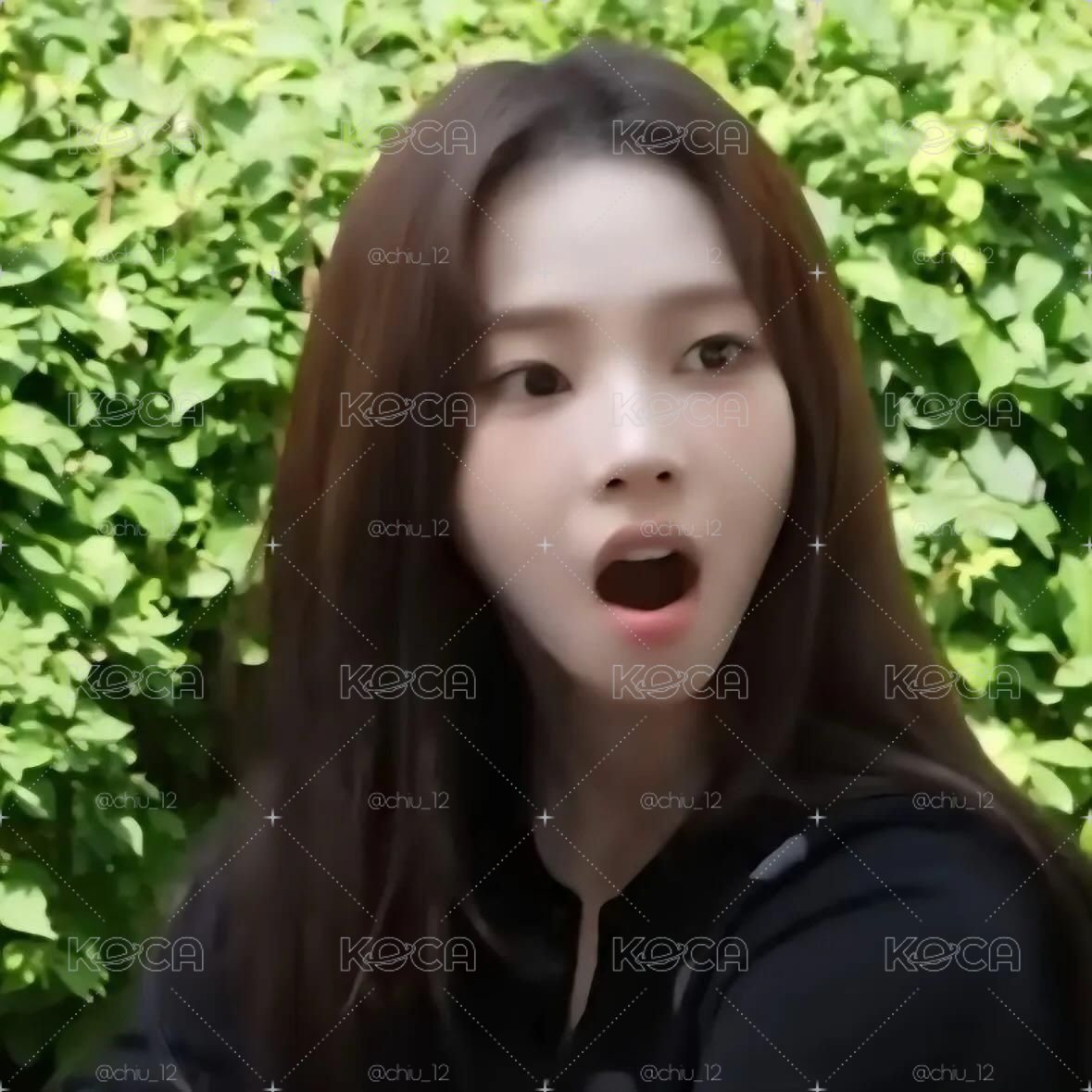柚吉盤 