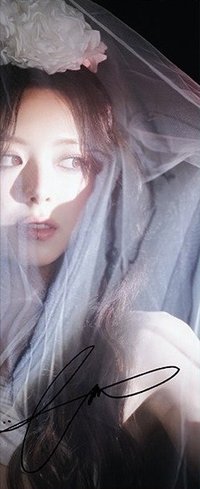 Motto 美版親簽 明信片 