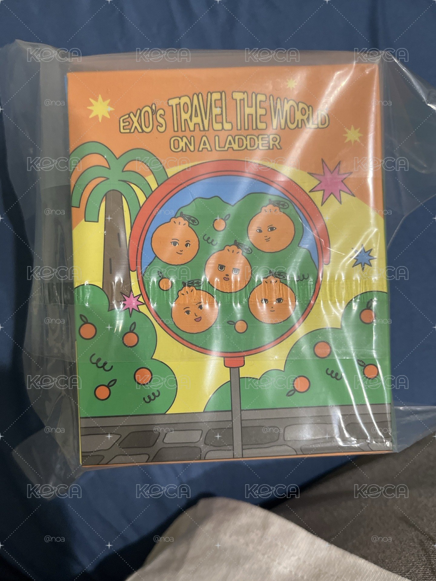 全新未拆（隨機成員）