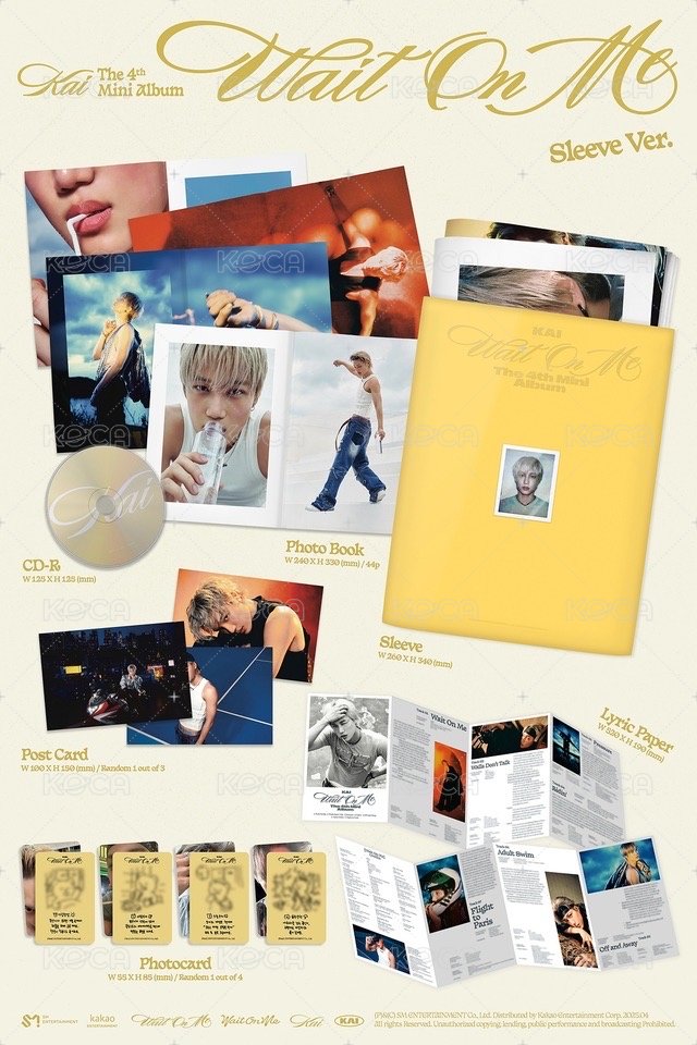 Sleeve ver.