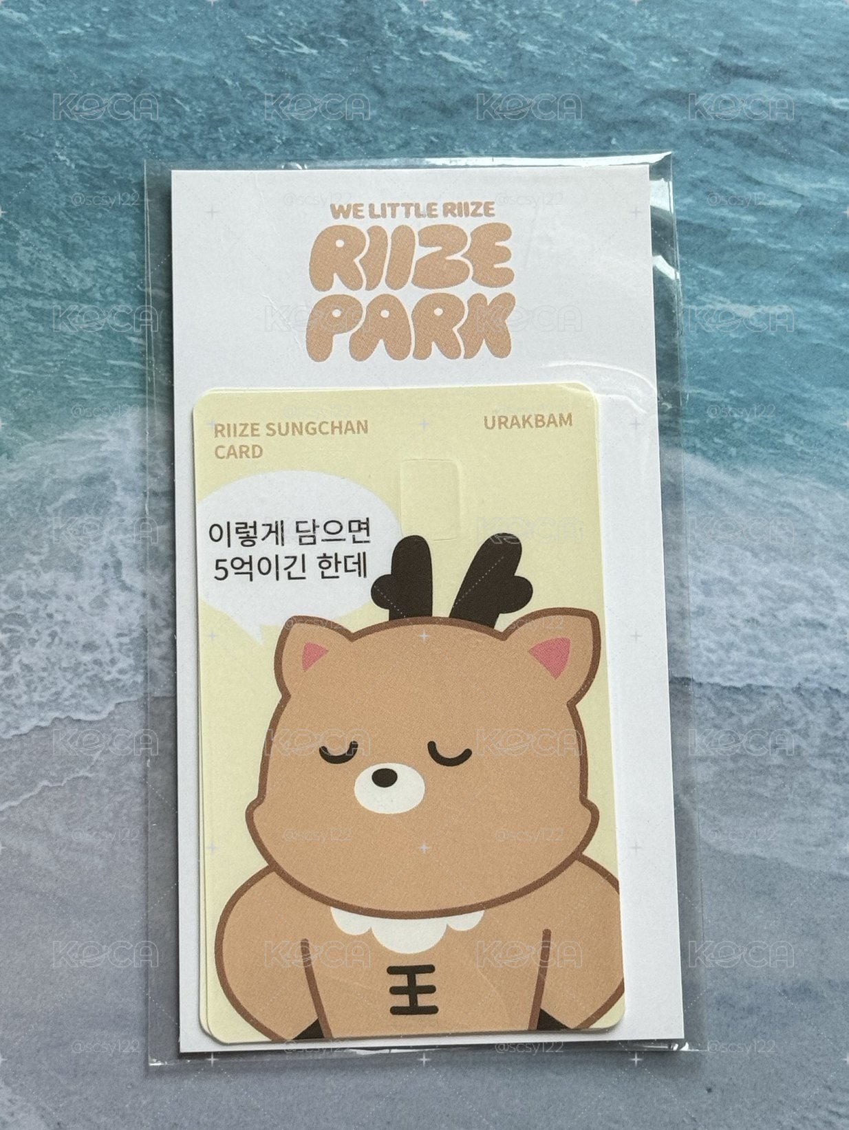 RIIZE成燦 卡貼