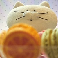 私訊請有禮貌，看清楚在下單。