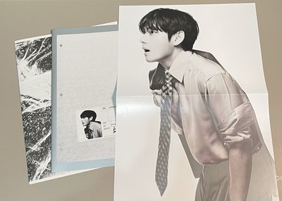 BTS V ARIRANG L版 固配 &  M版 膠片照片  泰泰