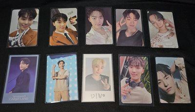 Seventeen Dino