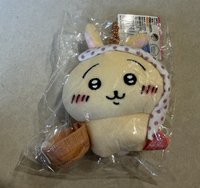 溫泉兔