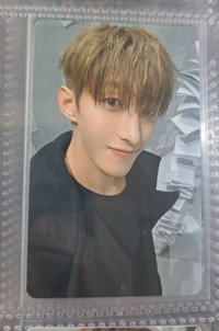 碩 wvs特典