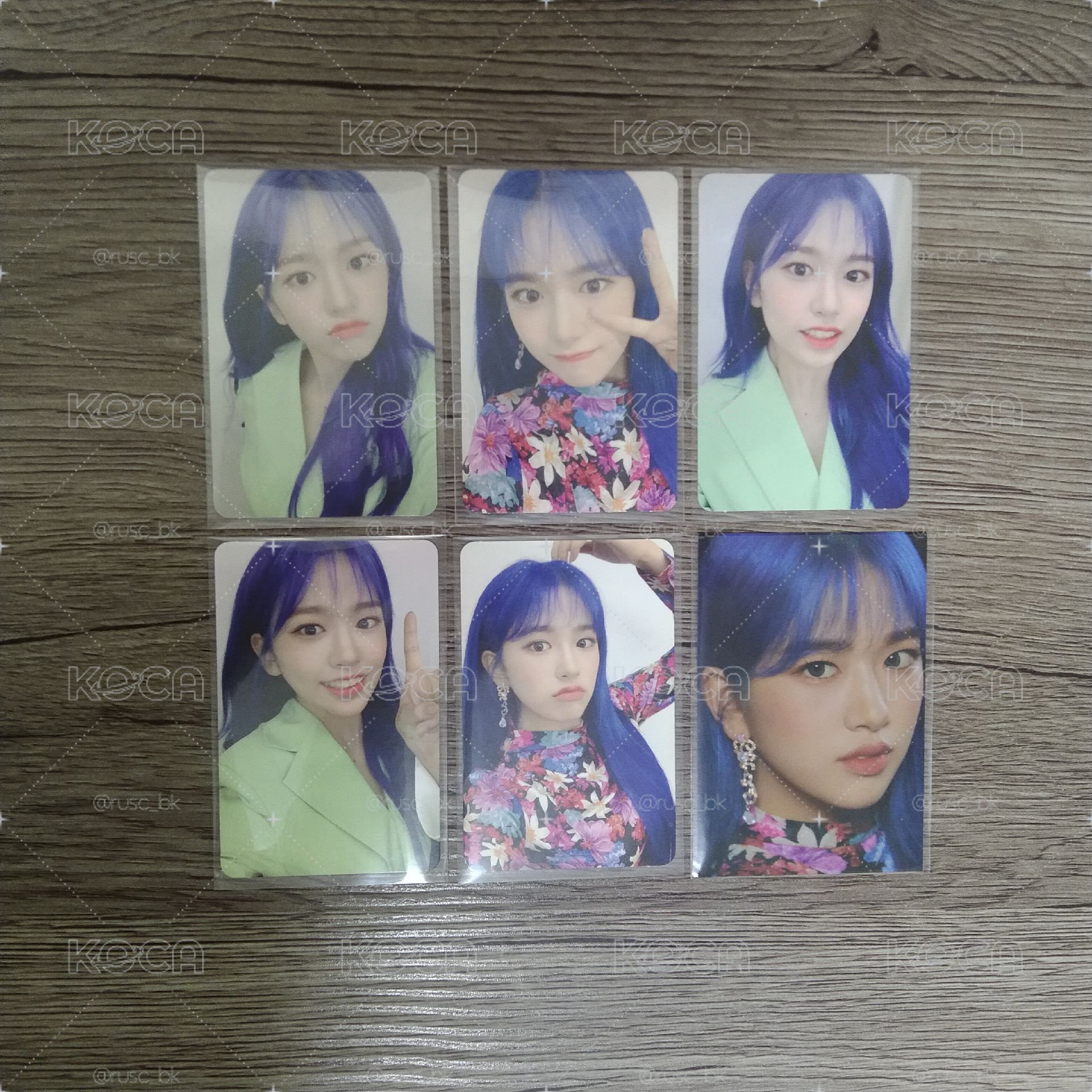 BLOOM*IZ 專輯卡 set