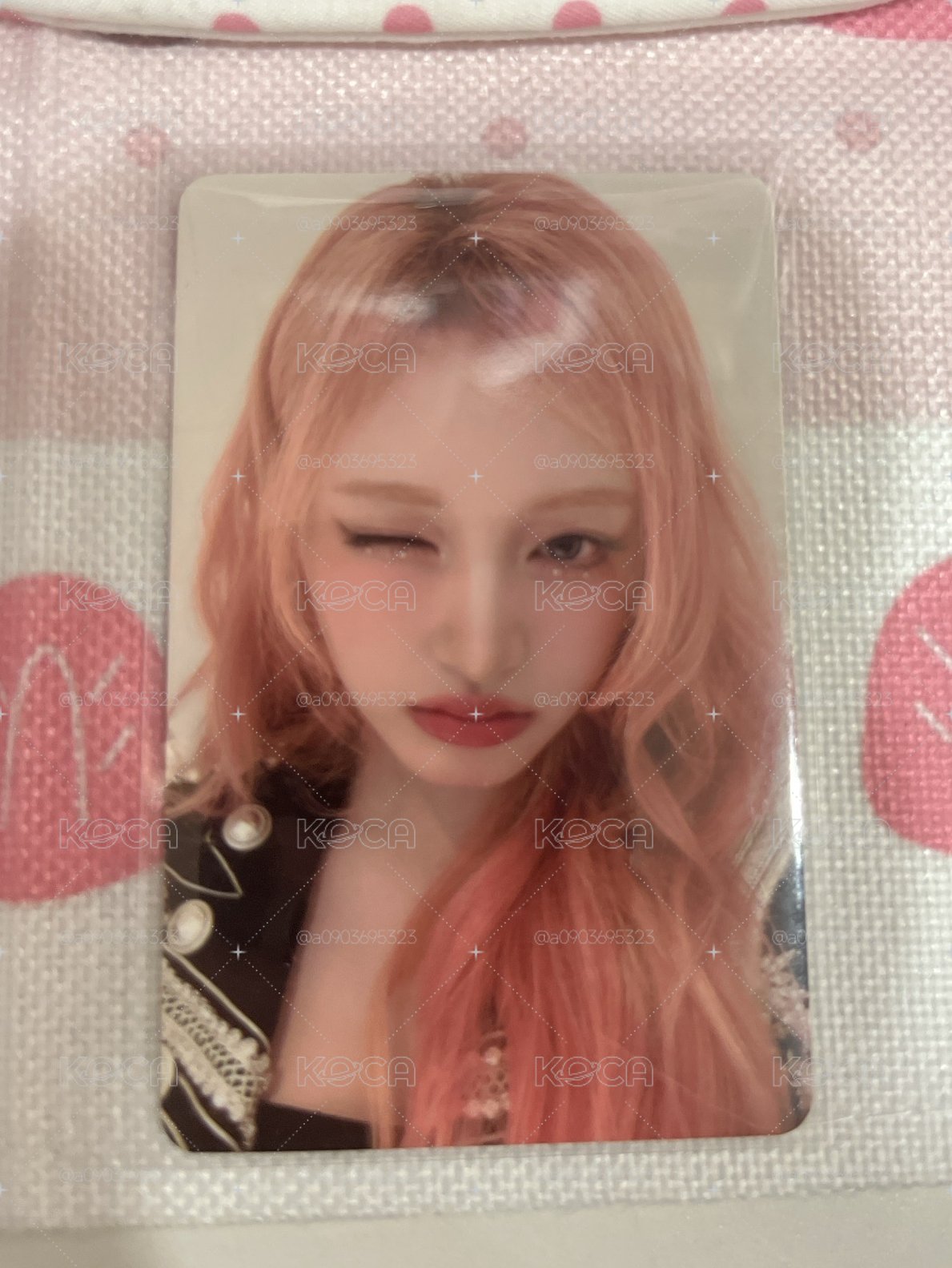 中文卡背栗
