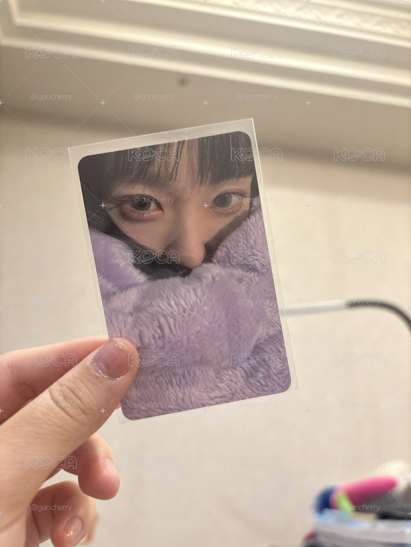 紫毯irene