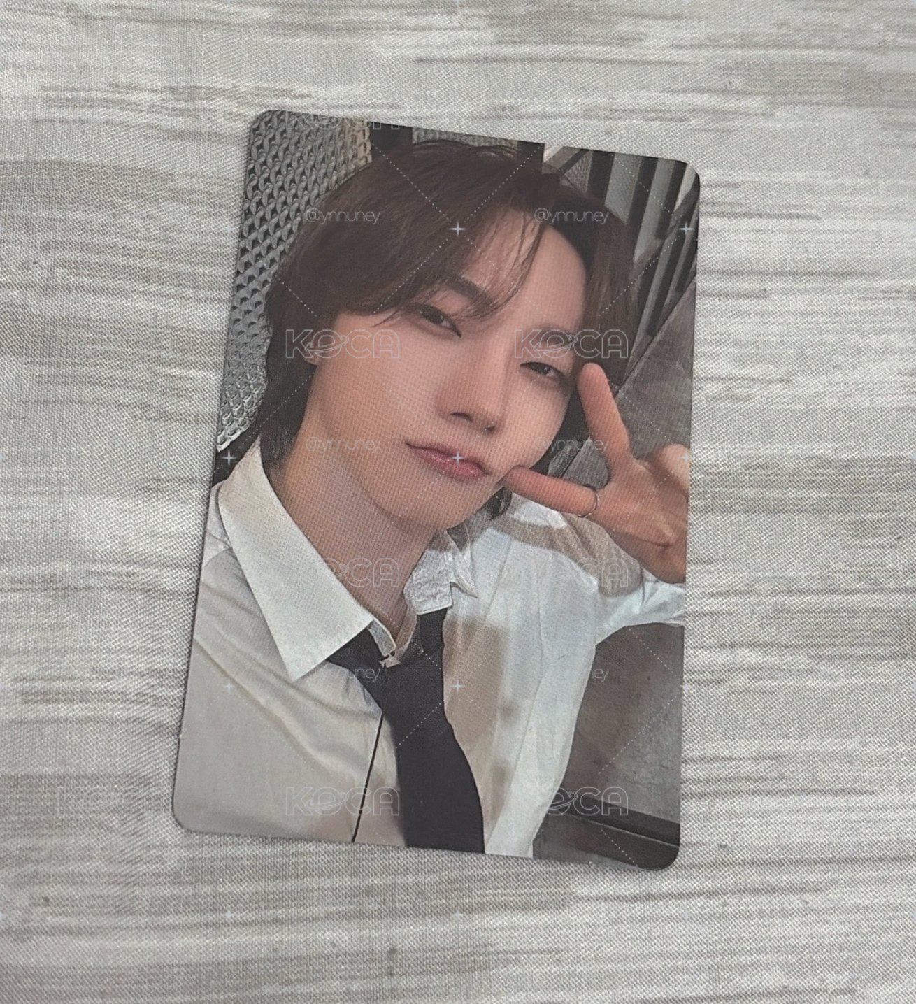 19.99 WVS特典🐈