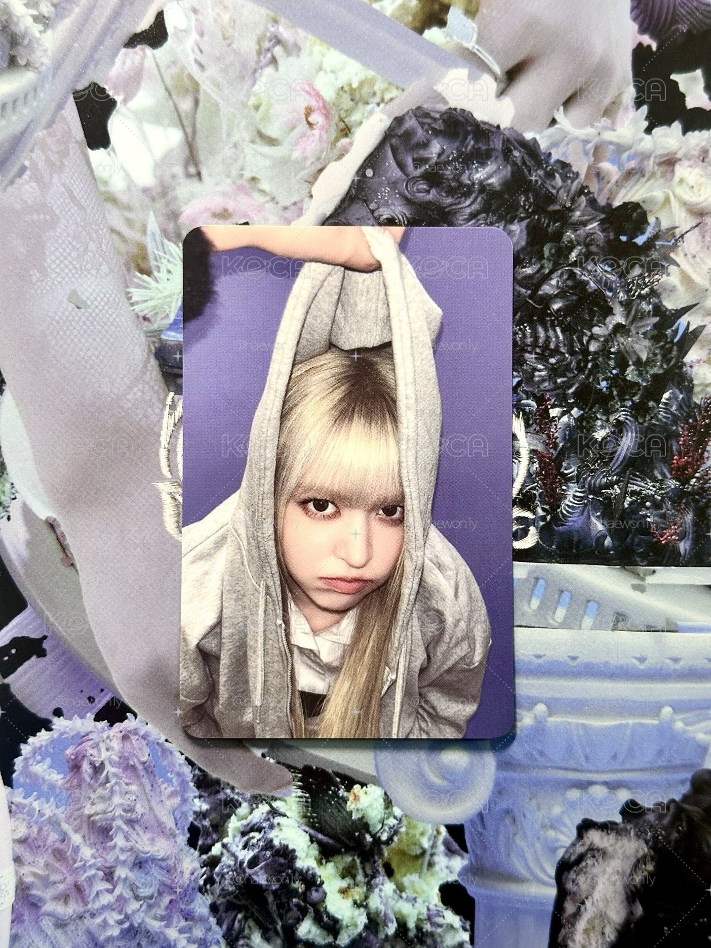 嗷嗚莉