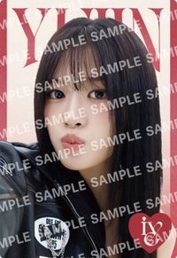 萬代第二彈聯名 周邊卡 餅乾卡