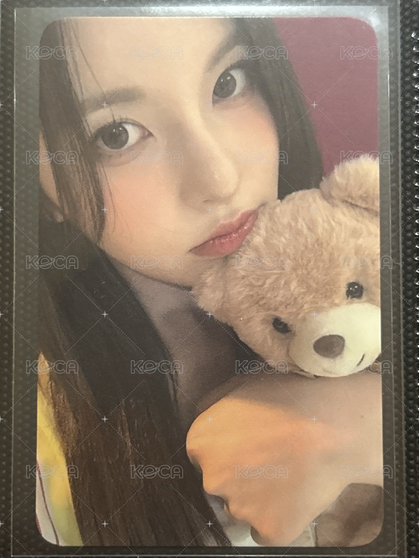 🌸K4抱熊（綁1張）