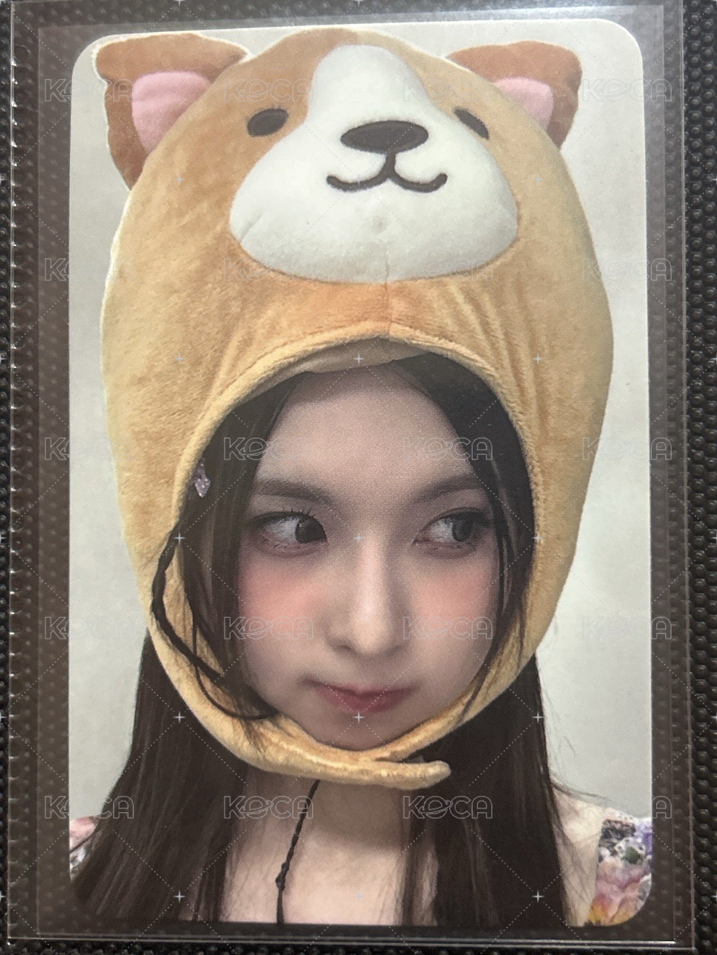 🌸am動物頭套（綁1張）