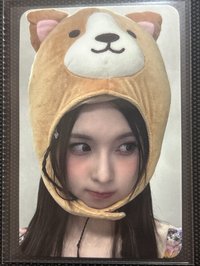 🌸am動物頭套（綁1張）