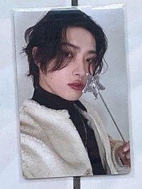 💗🐣4（卡背劃痕多）