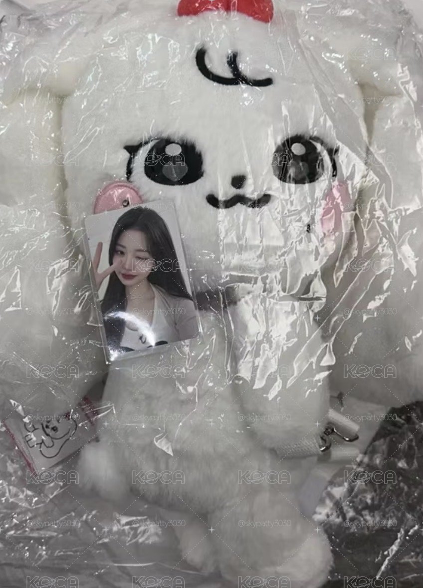 現貨 員瑛娃側背包及小卡