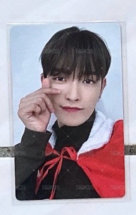 ⭐️🐿️9（💎1張）