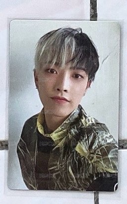 ⭐️🐿️10（💎1張）