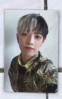 ⭐️🐿️10（💎1張）