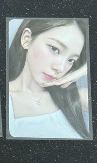 potd展會隨機卡柚