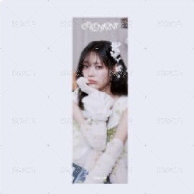SIYEON 長四格A