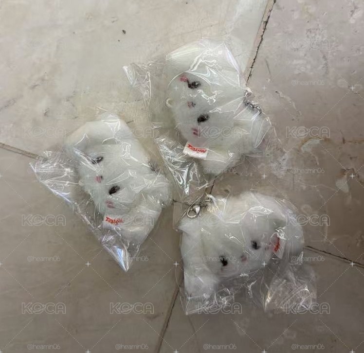 ANITEEZ 鑰匙圈吊飾 