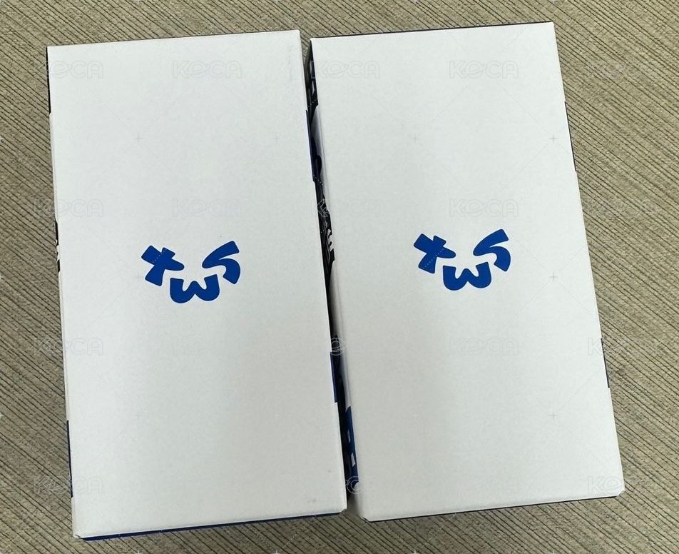 大手燈