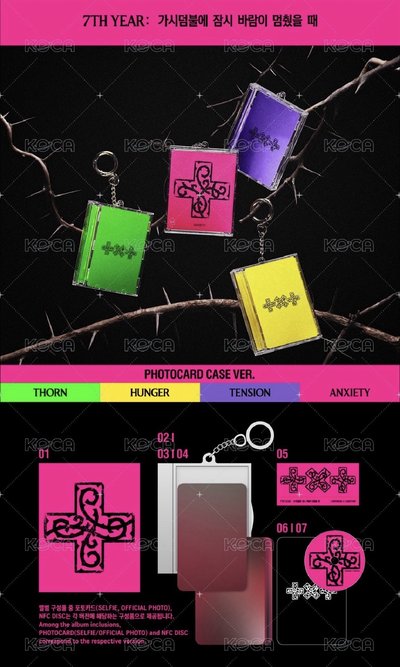 迷八 Photo Case ver. 專輯 卡盒專