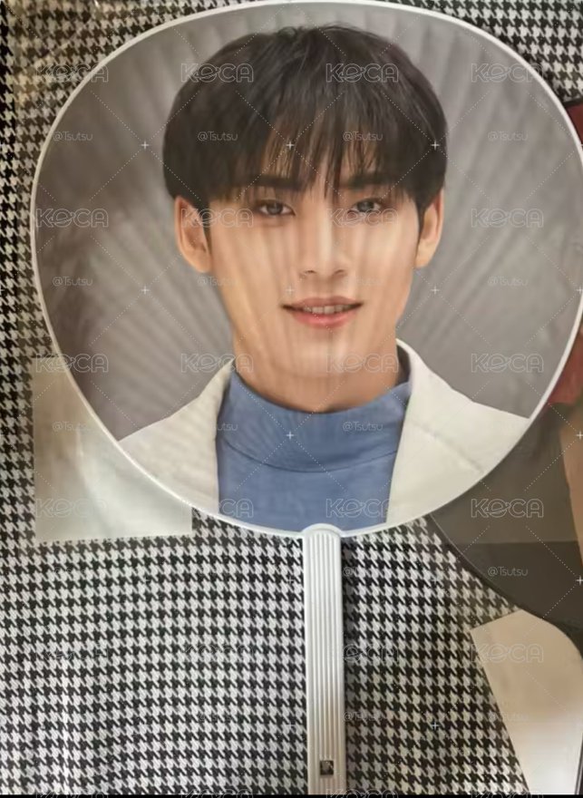 （現貨 紙箱寄出 可當日寄出）seventeen 金珉奎 here 日巡 大扇 扇子