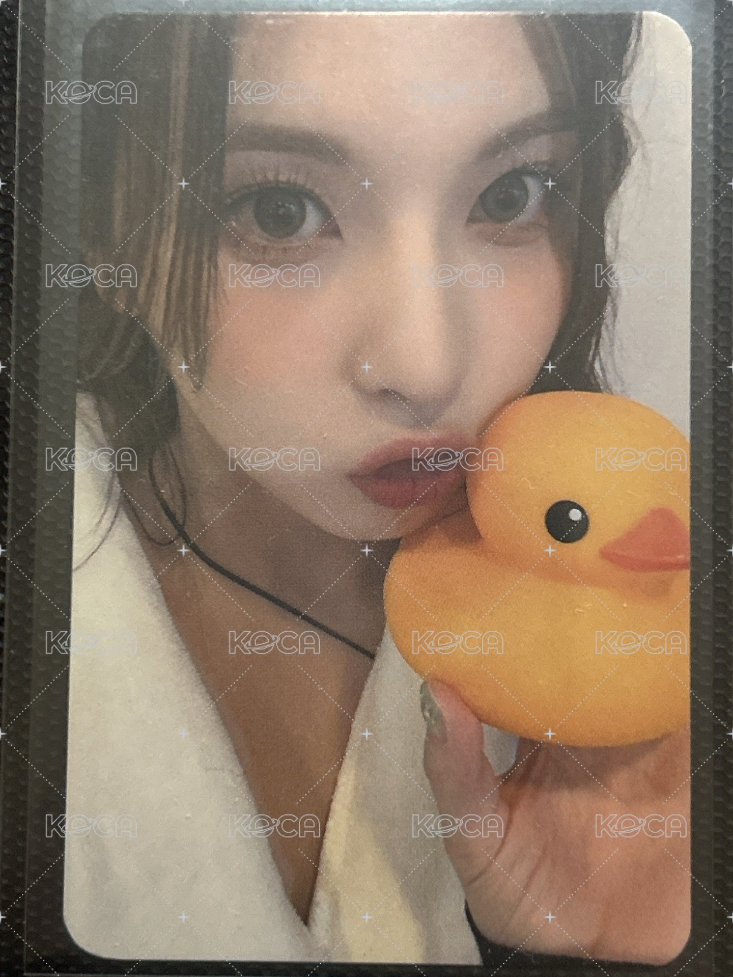 MS鴨鴨