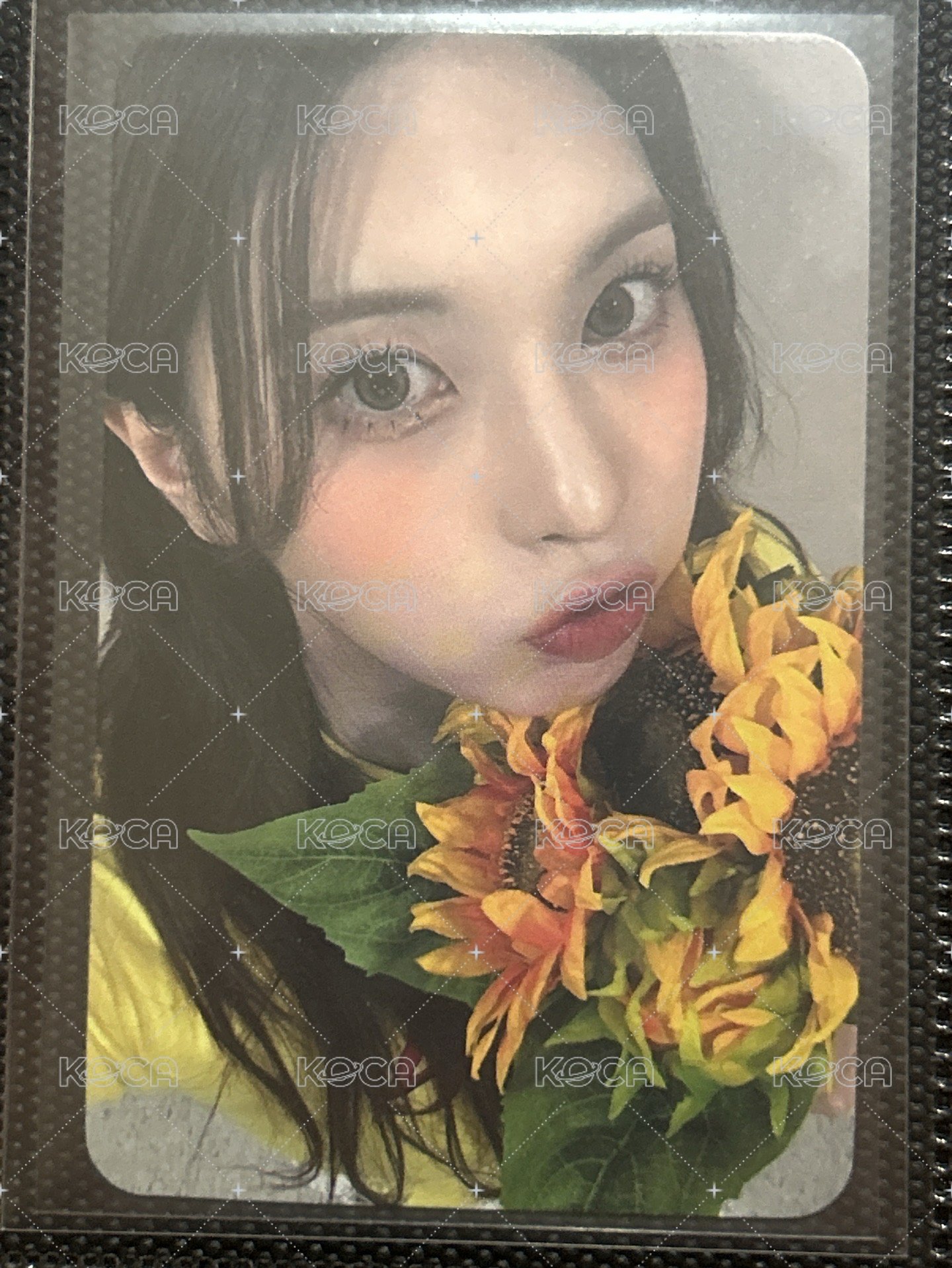 Sw捧花