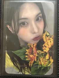 Sw捧花