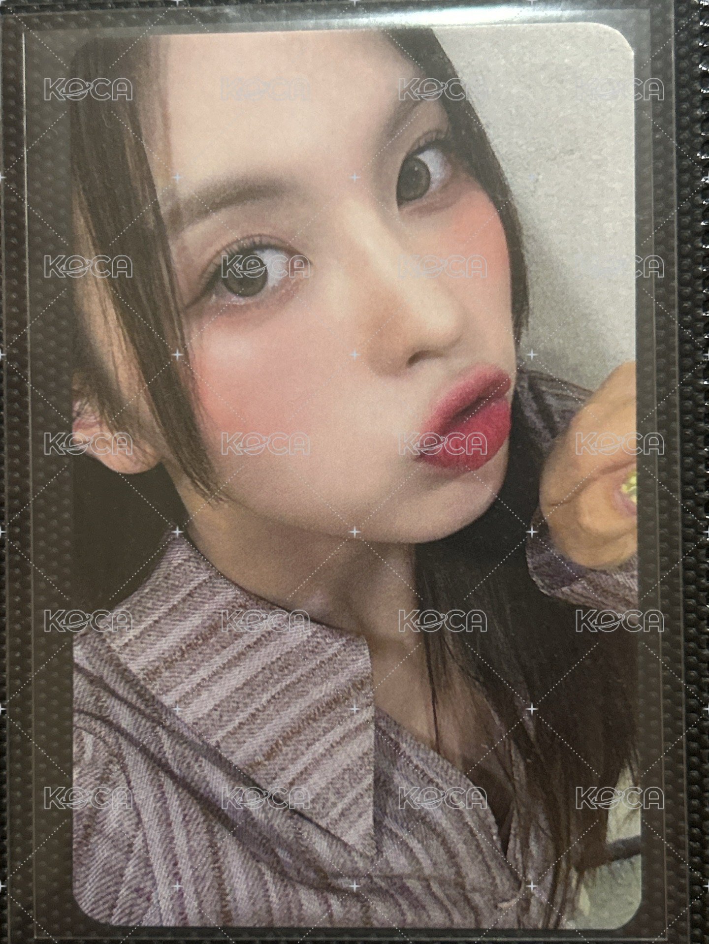 IA預售