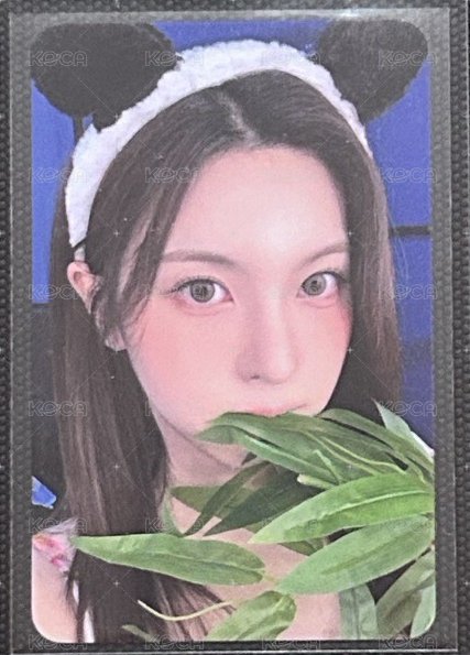 EL幸運卡 熊貓