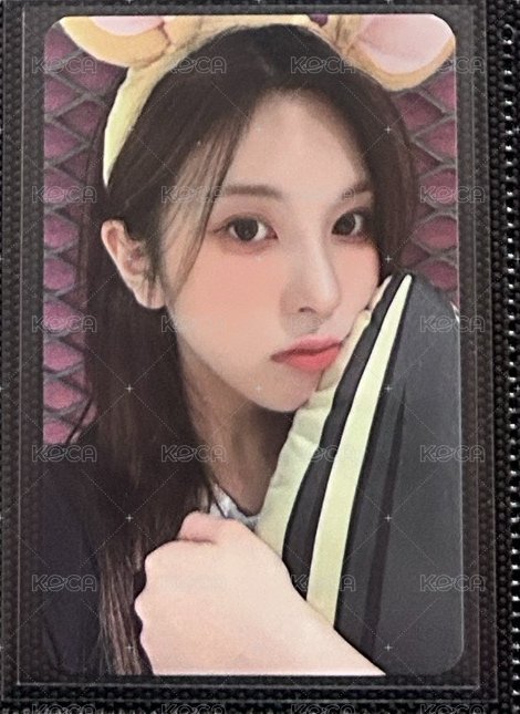 MS倉鼠
