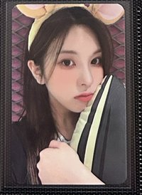 MS倉鼠