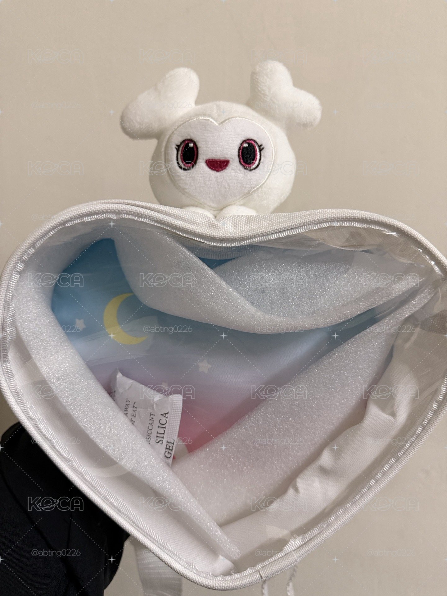GIGO 商品（不當綁物）