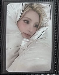 SW 被子