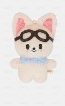 SKZOO Pilot FOXI.NY