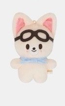 SKZOO Pilot FOXI.NY