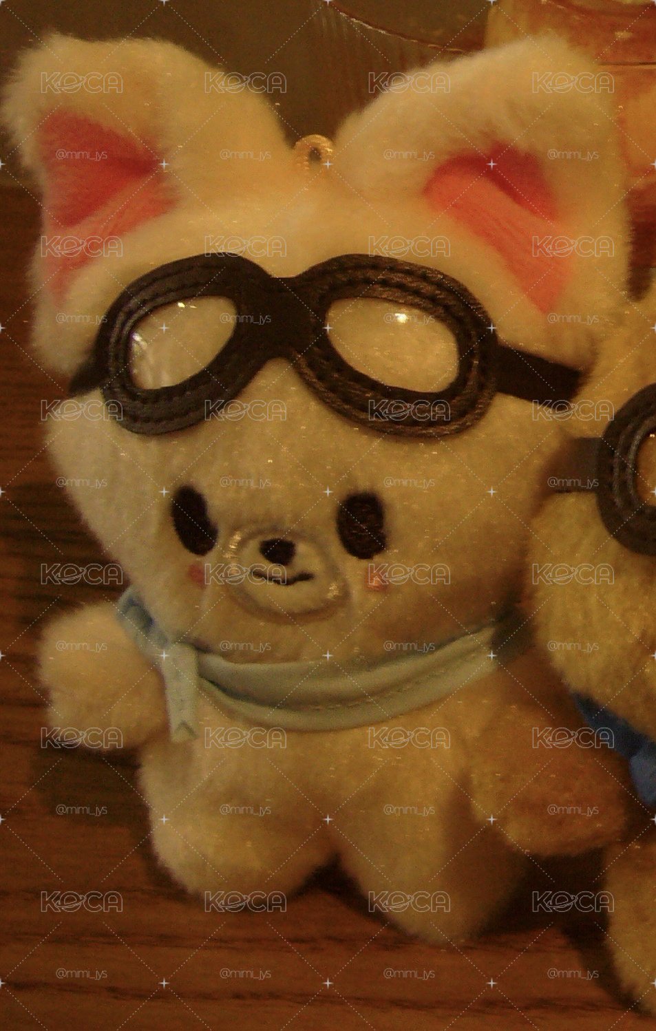 SKZOO Pilot FOXI.NY