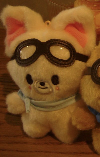 SKZOO Pilot FOXI.NY