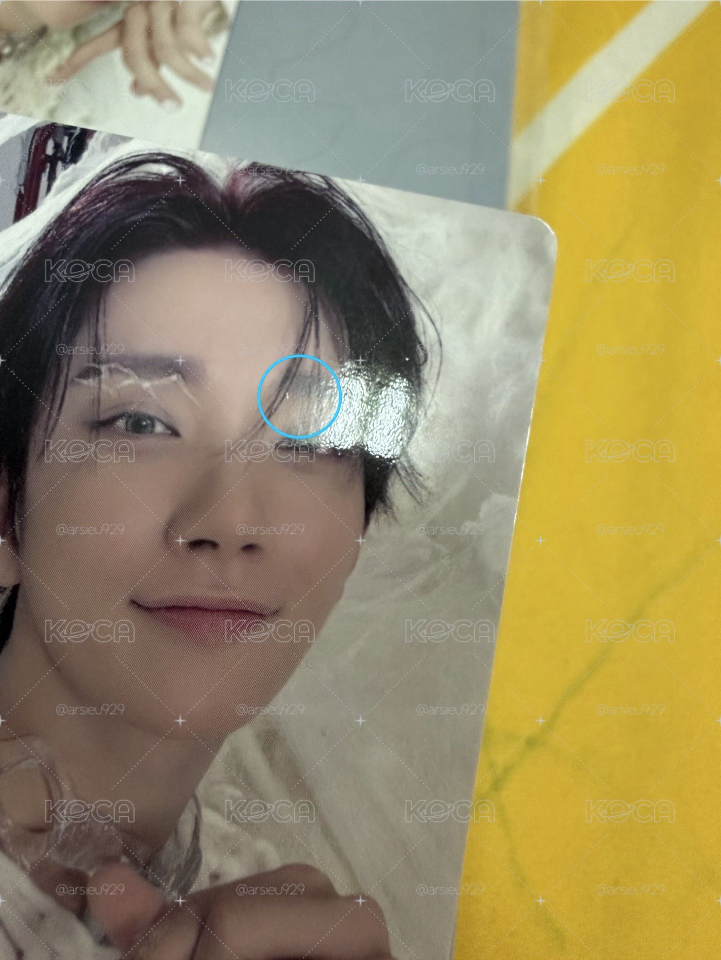 正規五：HAPPY BURSTDAY 秀小盤