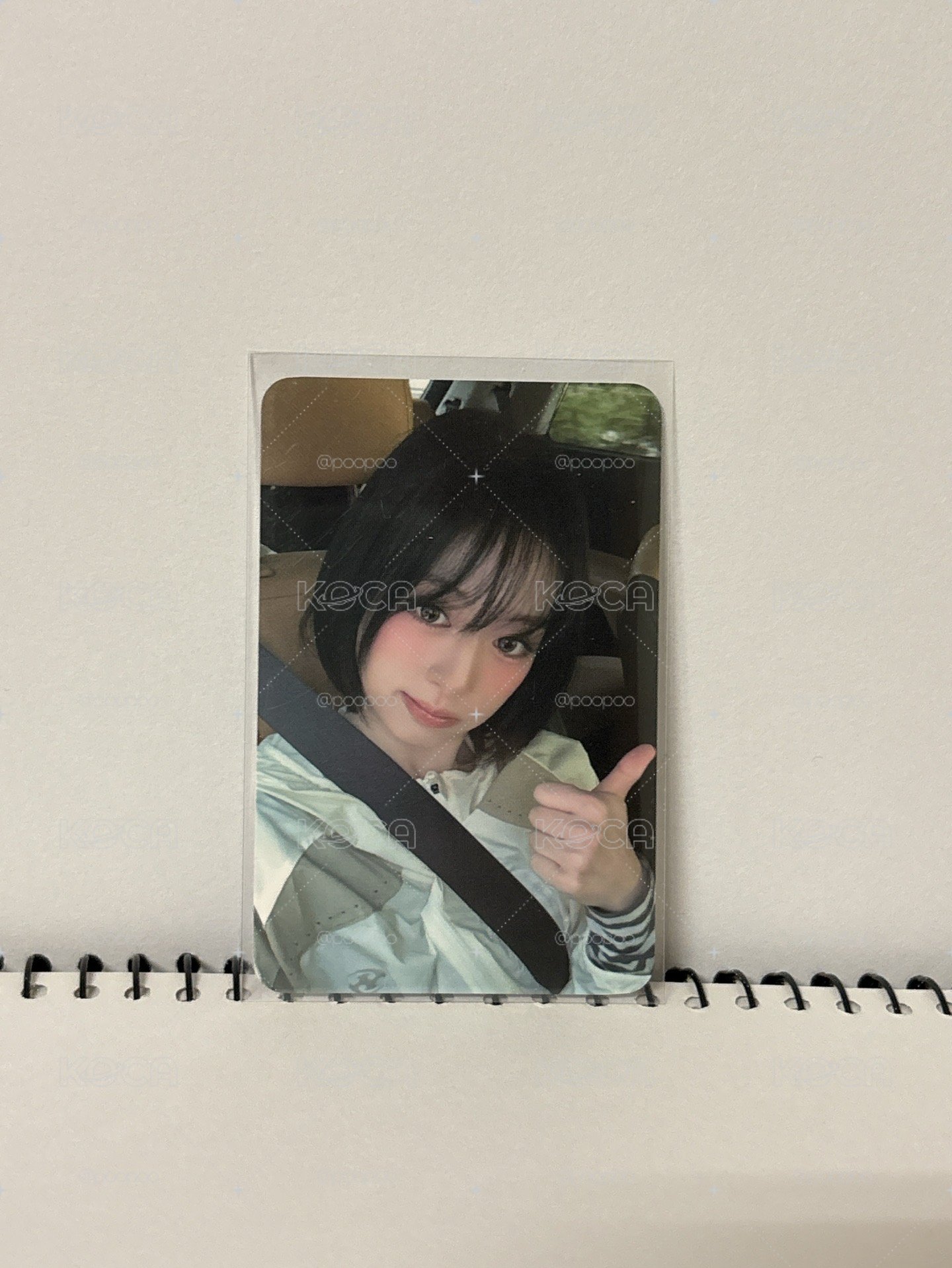 WmLD 點讚賢