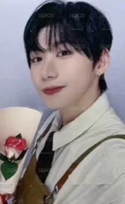 花束朴翰